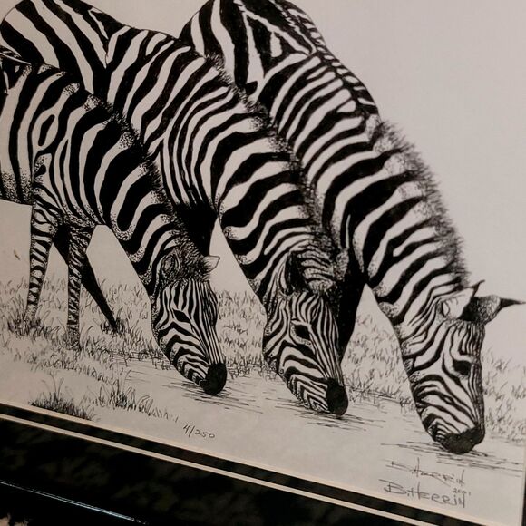 Original Lithograph in Pen & Ink, Zebras Drinking Signed Limited Edition #4/250 - Picture 12 of 16